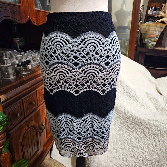 Aqua Dresses & Skirts - AQUA Brand Tri-colored Lace Overlay Lined Pencil Skirt